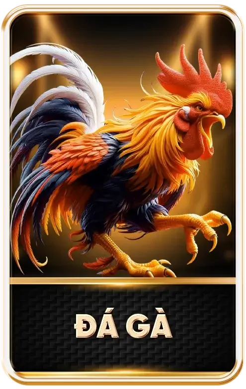 frame đá gà
