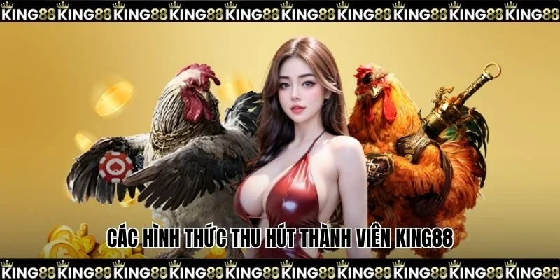 Các hình thức thu hút thành viên KING88