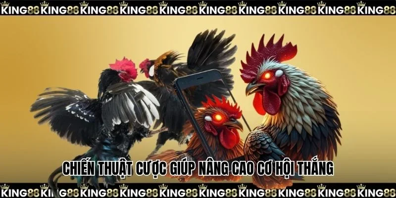 Chiến thuật cược giúp nâng cao cơ hội thắng