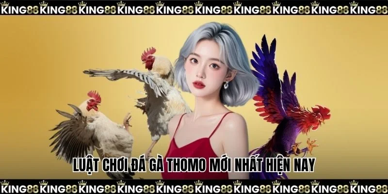 Luật chơi đá gà Thomo mới nhất hiện nay