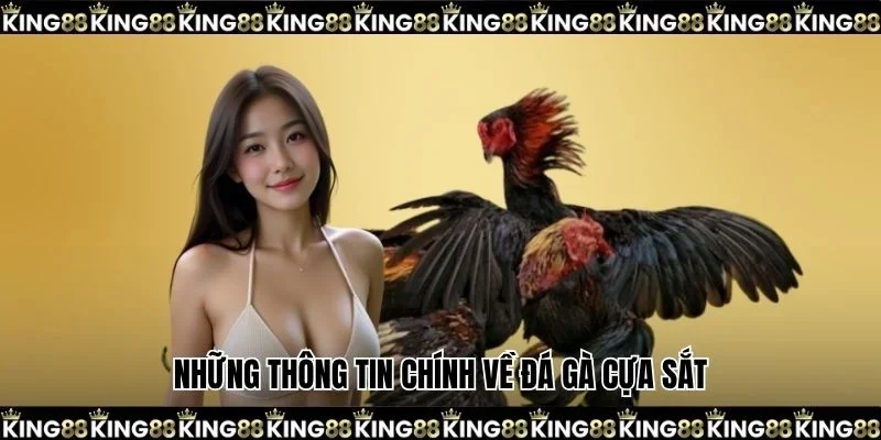 Những thông tin chính về đá gà cựa sắt