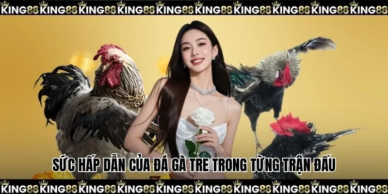 Sức hấp dẫn của đá gà tre trong từng trận đấu