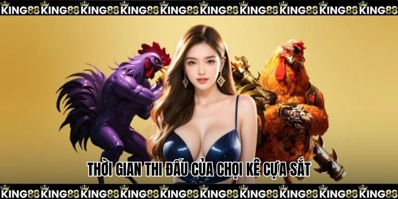 Thời gian thi đấu của chọi kê cựa sắt