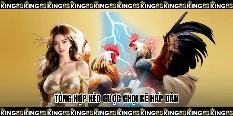 Tổng hợp kèo cược chọi kê hấp dẫn